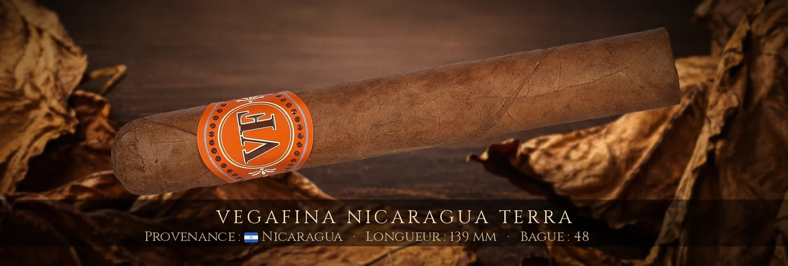 VegaFina Nicaragua Terra — VegaFina — Nicaragua