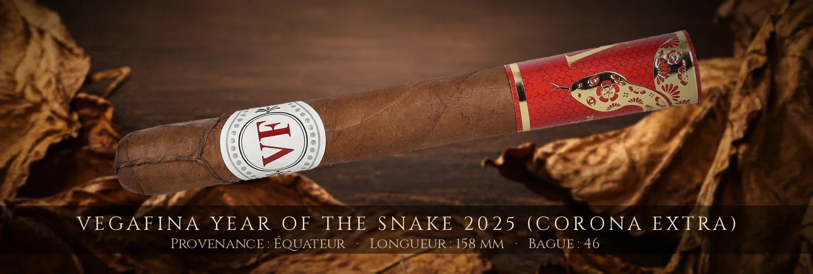 VegaFina Year Of The Snake 2025 (Corona Extra) — VegaFina — Équateur