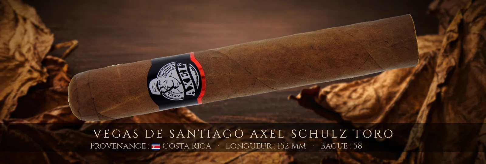 Vegas de Santiago Axel Schulz Toro — Vegas de Santiago — Costa Rica