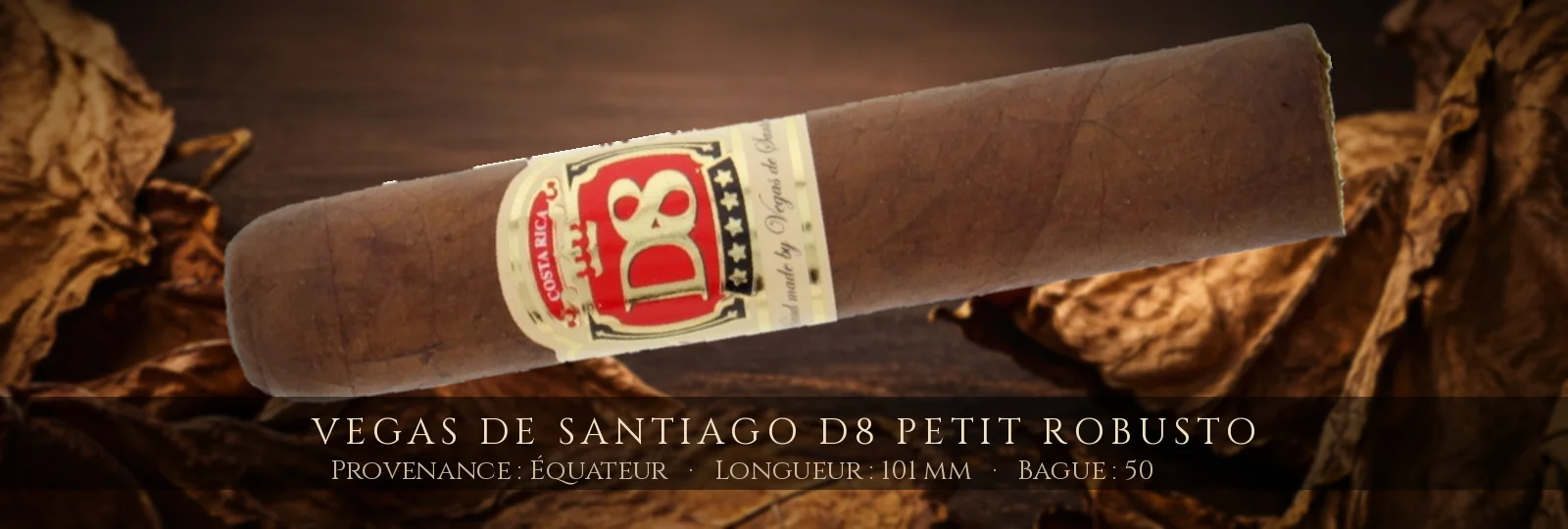 Vegas de Santiago D8 Petit Robusto