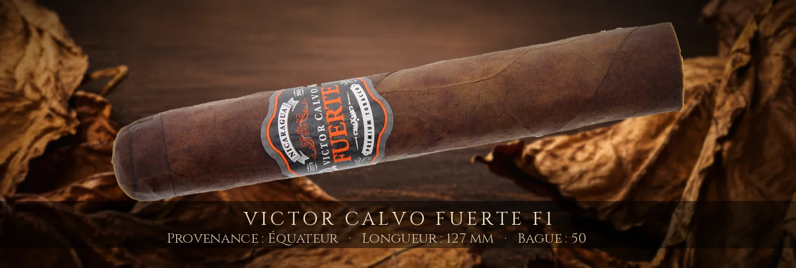 Victor Calvo Fuerte F1 — Victor Calvo — Équateur