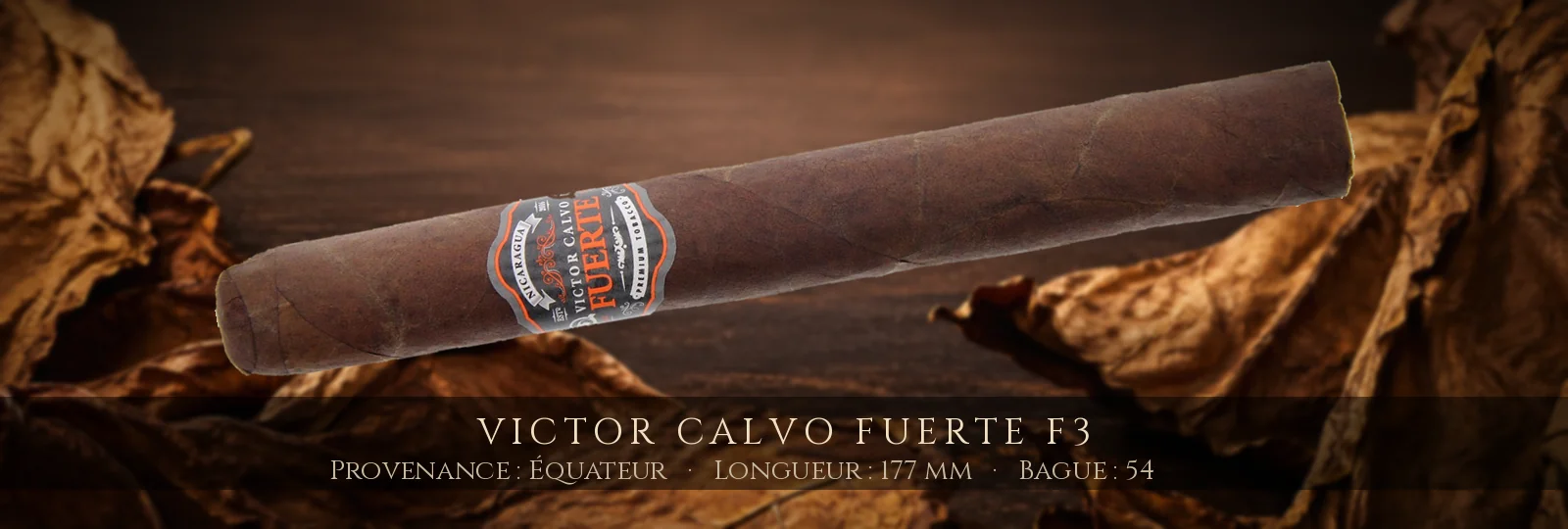 Victor Calvo Fuerte F3 — Victor Calvo — Équateur