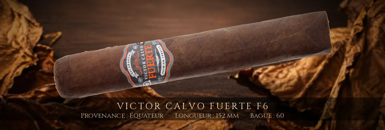Victor Calvo Fuerte F6 — Victor Calvo — Équateur