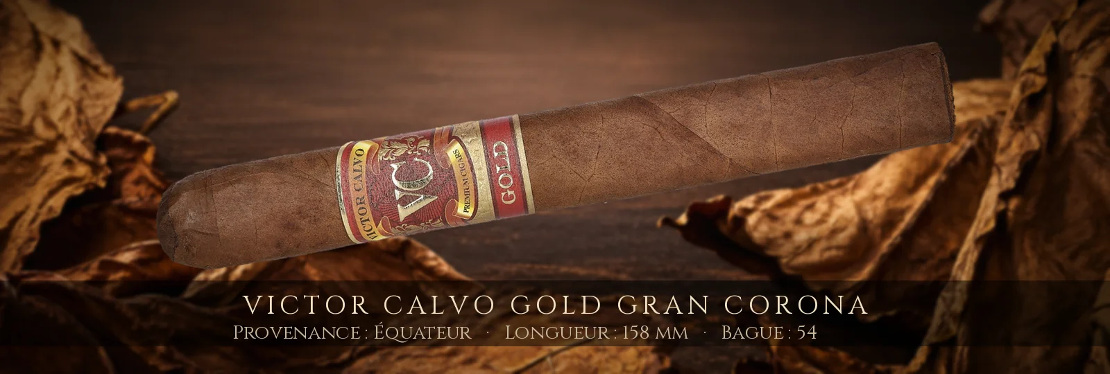 Victor Calvo Gold Gran Corona — Victor Calvo — Équateur