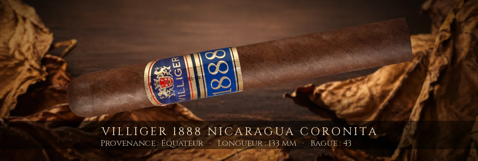 Villiger 1888 Nicaragua Coronita — Villiger — Équateur