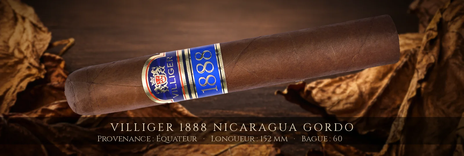 Villiger 1888 Nicaragua Gordo — Villiger — Équateur