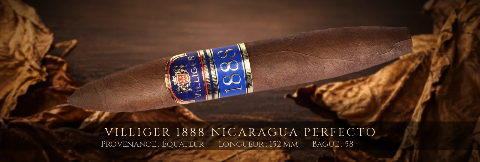 Villiger 1888 Nicaragua Perfecto — Villiger — Équateur