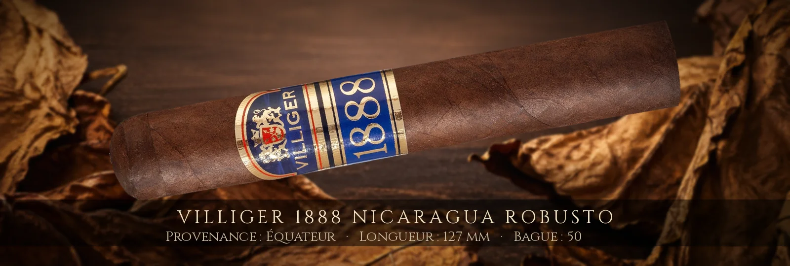 Villiger 1888 Nicaragua Robusto — Villiger — Équateur