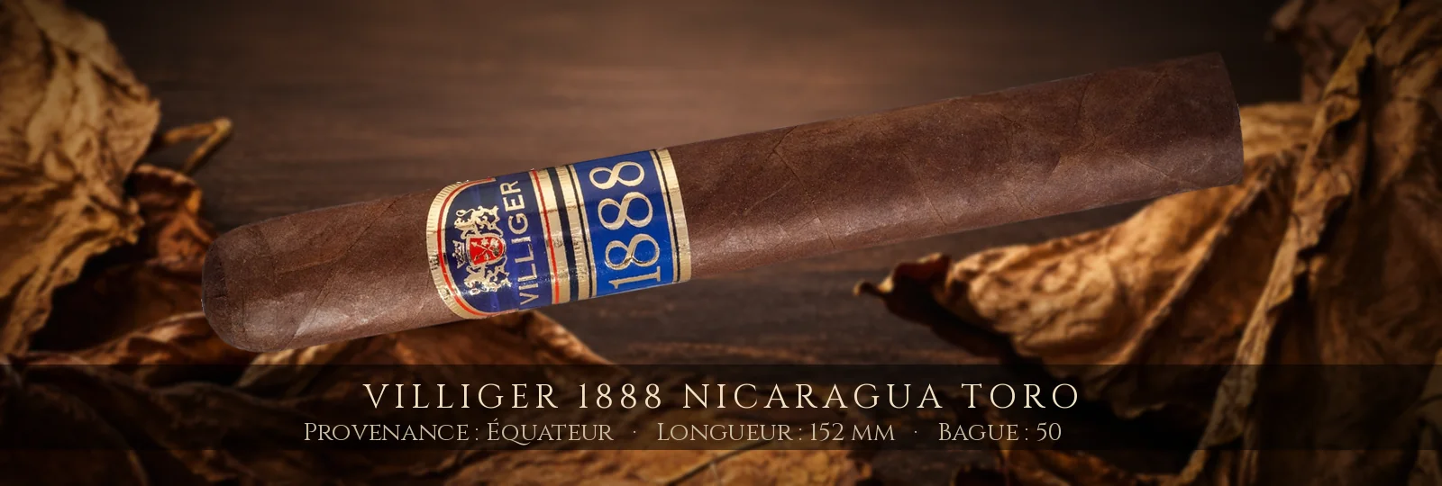 Villiger 1888 Nicaragua Toro — Villiger — Équateur