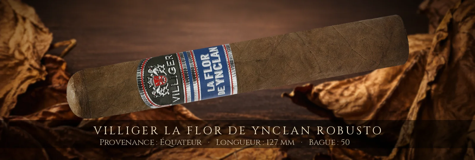 Villiger La Flor de Ynclan Robusto — Villiger — Équateur