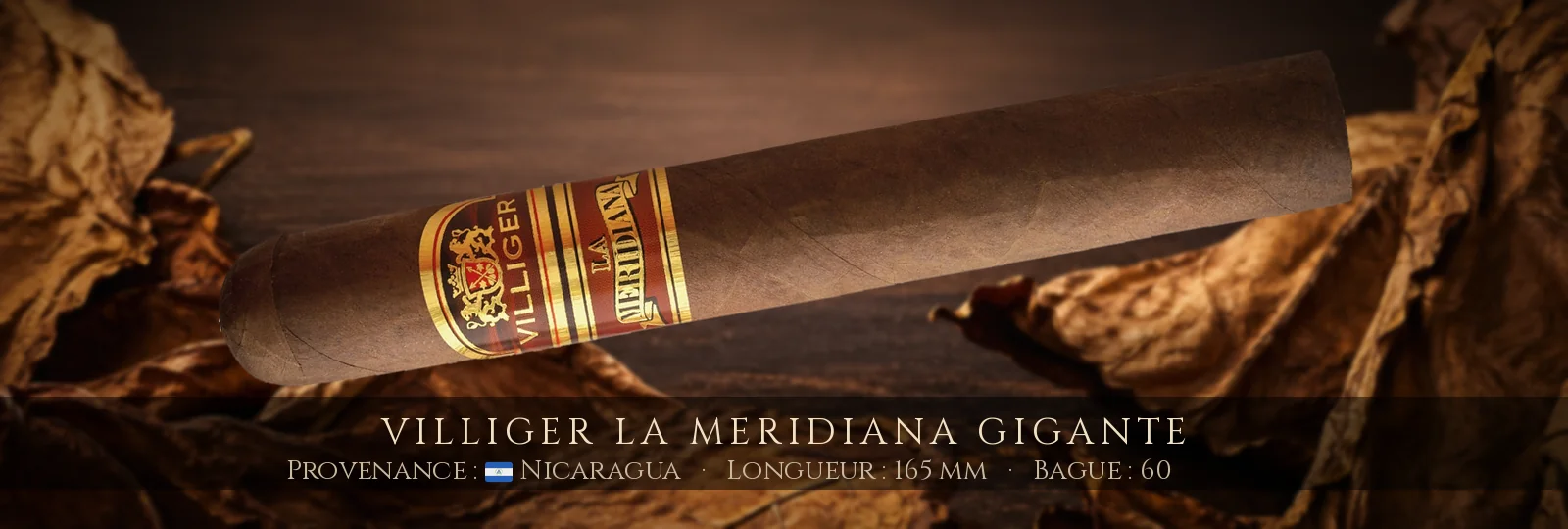 Villiger La Meridiana Gigante — Villiger — Nicaragua