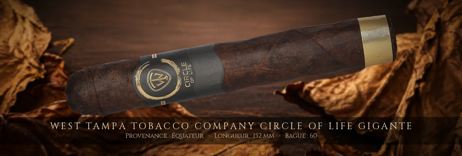 West Tampa Tobacco Company Circle of Life Gigante — West Tampa Tobacco Company — Équateur