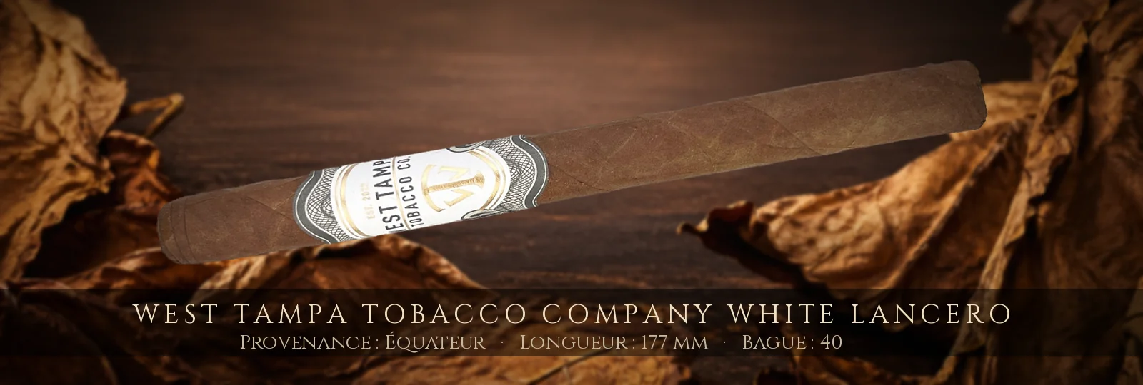 West Tampa Tobacco Company White Lancero — West Tampa Tobacco Company — Équateur