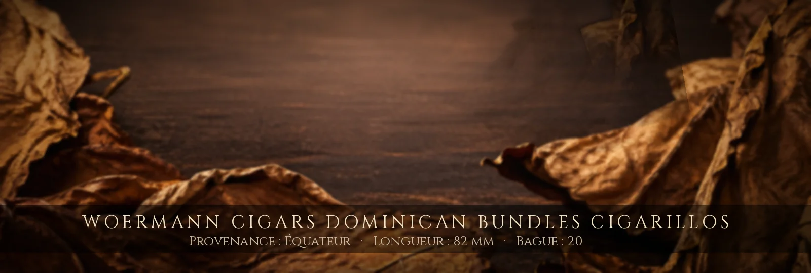 Woermann Cigars Dominican Bundles Cigarillos — Woermann Cigars — Équateur
