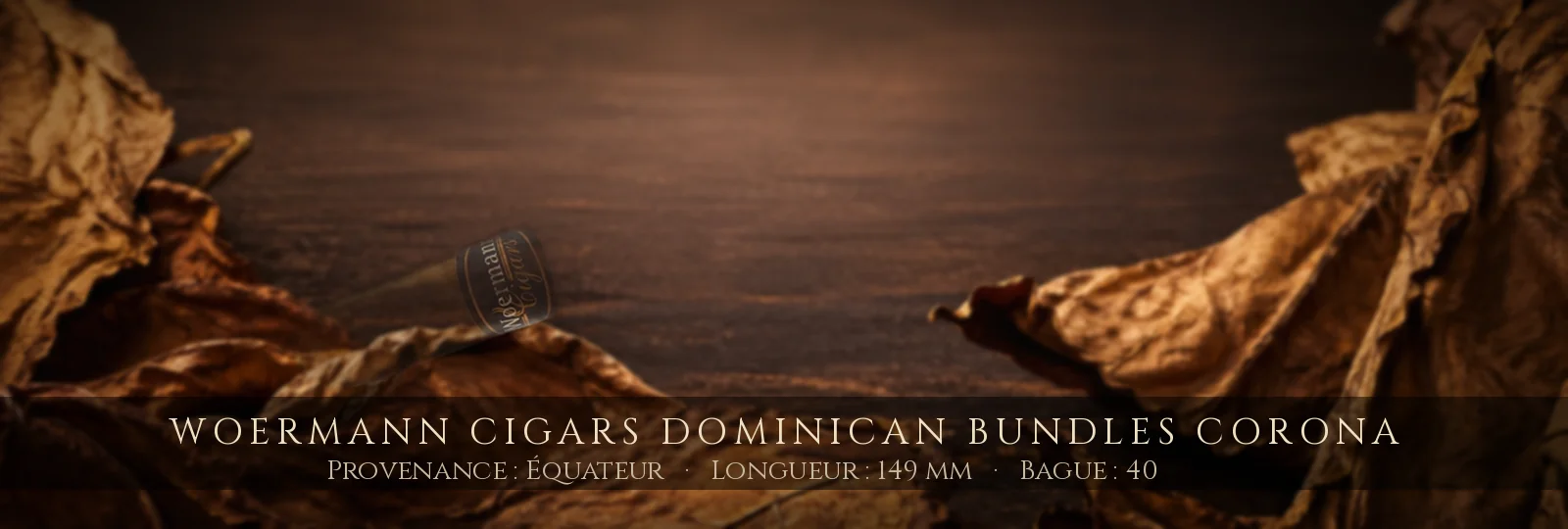 Woermann Cigars Dominican Bundles Corona — Woermann Cigars — Équateur