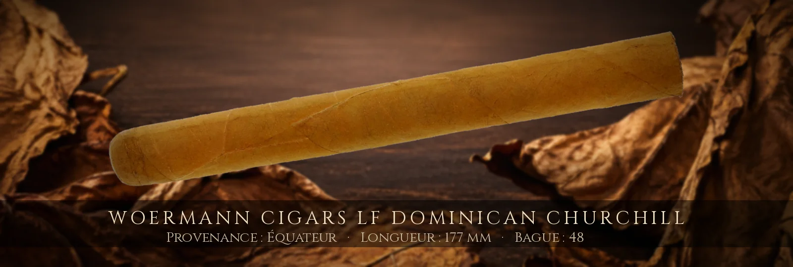 Woermann Cigars LF Dominican Churchill — Woermann Cigars — Équateur
