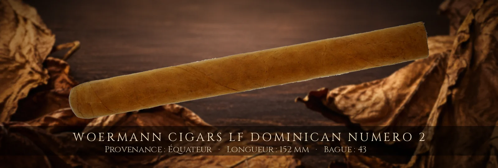 Woermann Cigars LF Dominican Numero 2 — Woermann Cigars — Équateur