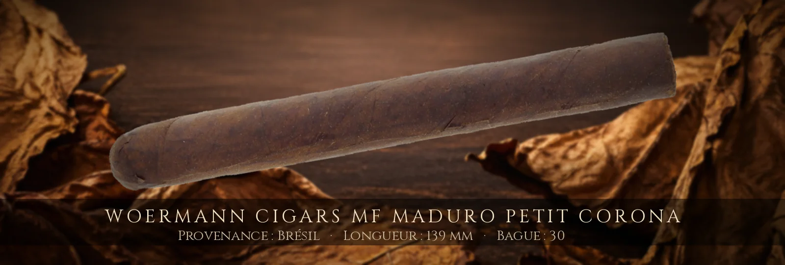 Woermann Cigars MF Maduro Petit Corona — Woermann Cigars — Brésil