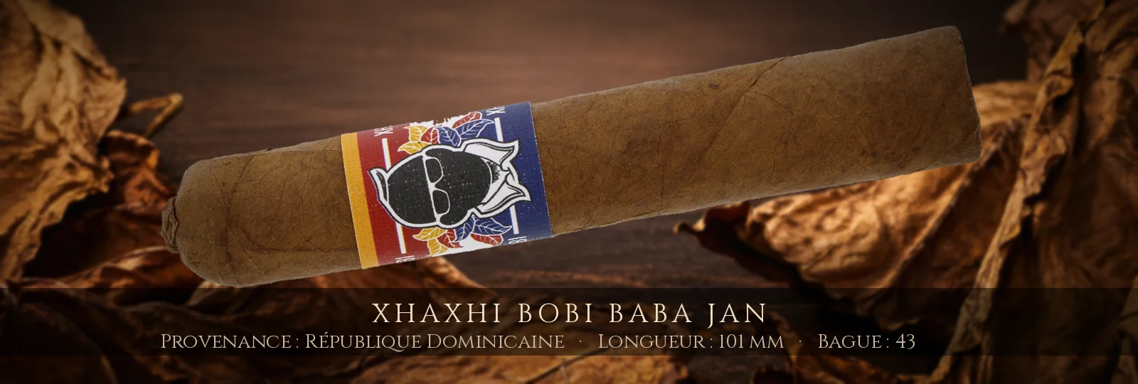 Xhaxhi Bobi Baba Jan — Xhaxhi Bobi — République Dominicaine