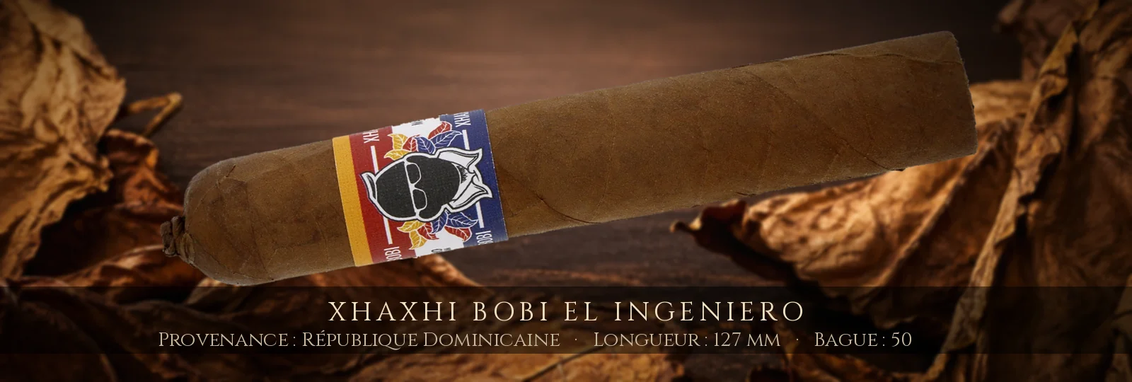 Xhaxhi Bobi El Ingeniero — Xhaxhi Bobi — République Dominicaine