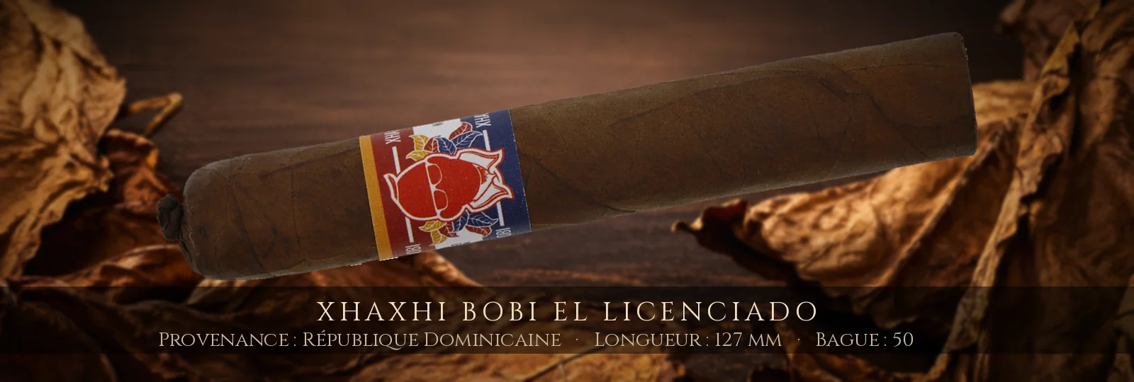 Xhaxhi Bobi El Licenciado — Xhaxhi Bobi — République Dominicaine