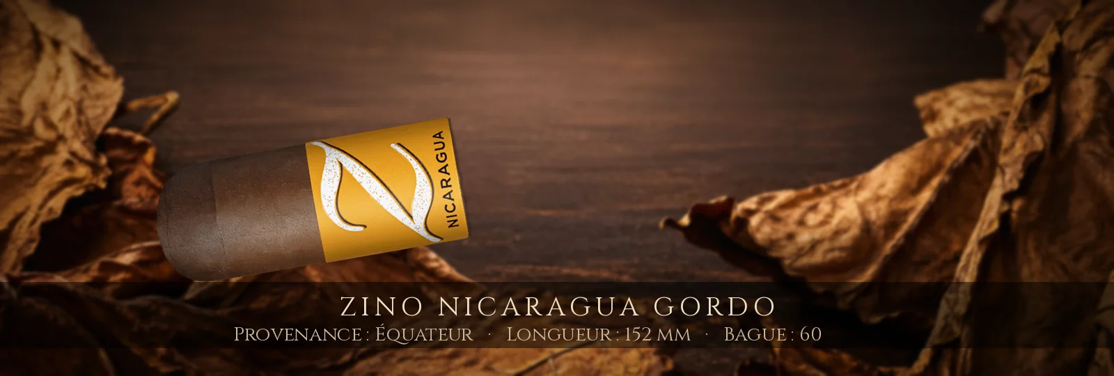 Zino Nicaragua Gordo — Zino — Équateur