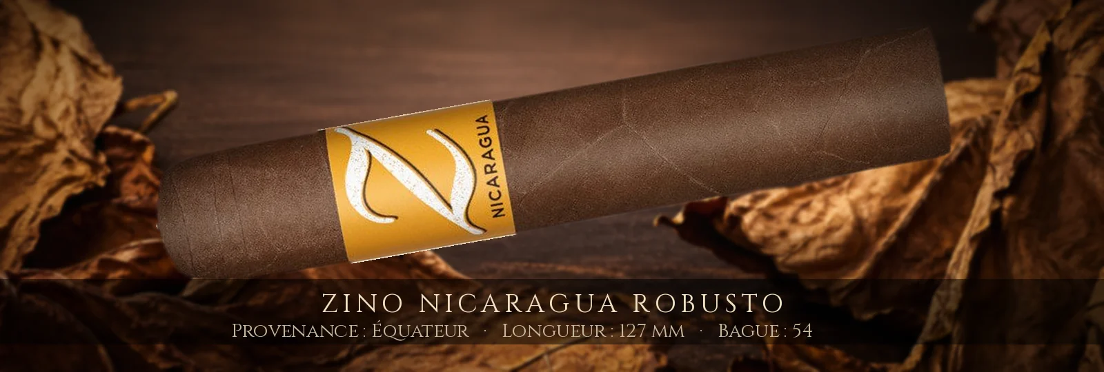 Zino Nicaragua Robusto — Zino — Équateur