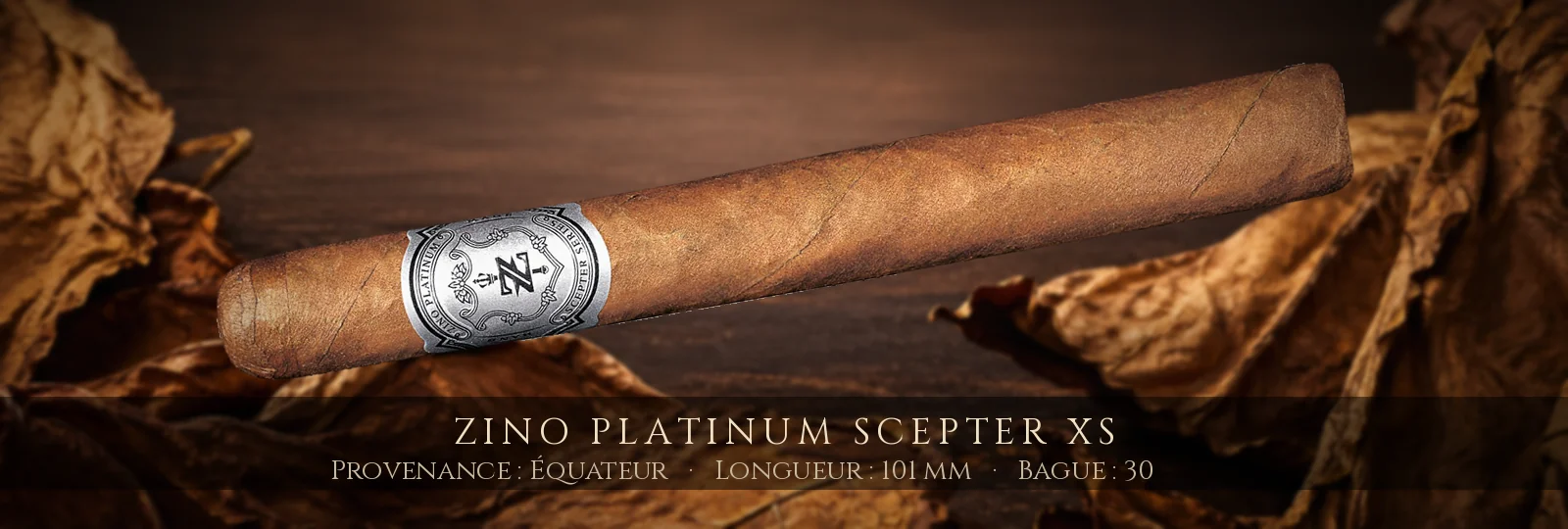 Zino Platinum Scepter XS — Zino — Équateur