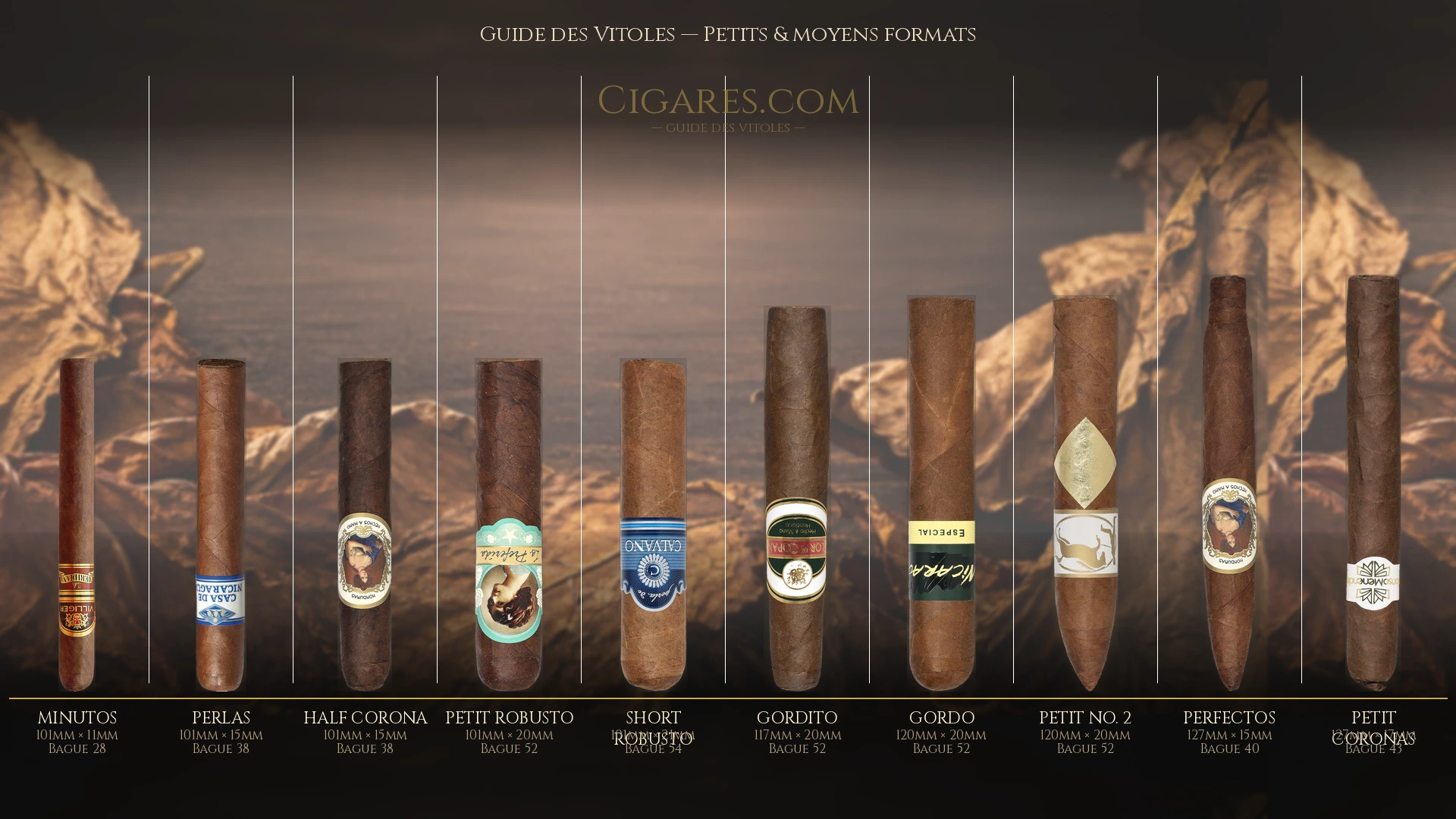 Guide des formats de cigares — petits et moyens formats : Minuto, Petit Corona, Mareva, Corona