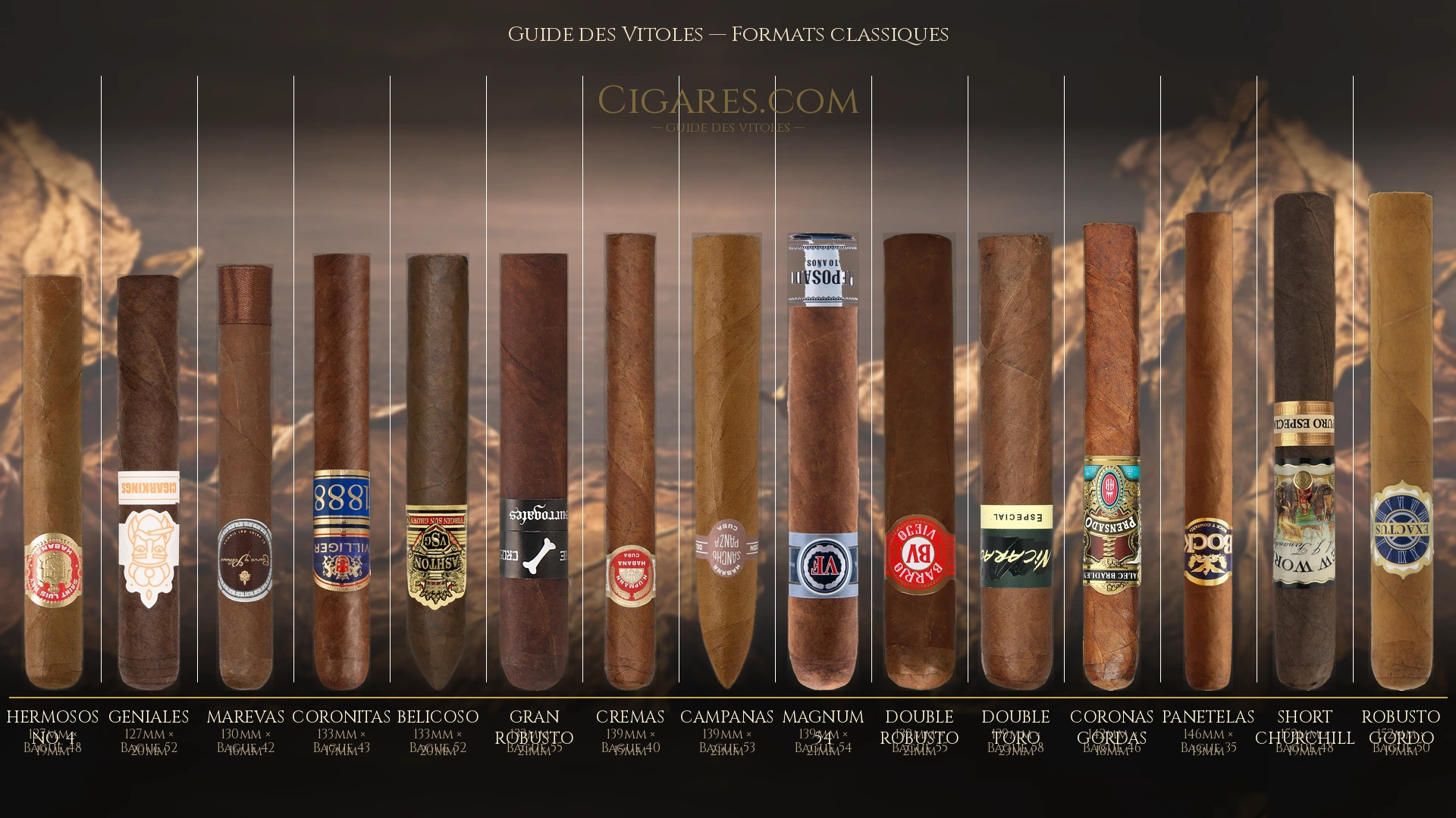 Guide des formats de cigares — formats classiques : Robusto, Toro, Churchill, Lonsdale