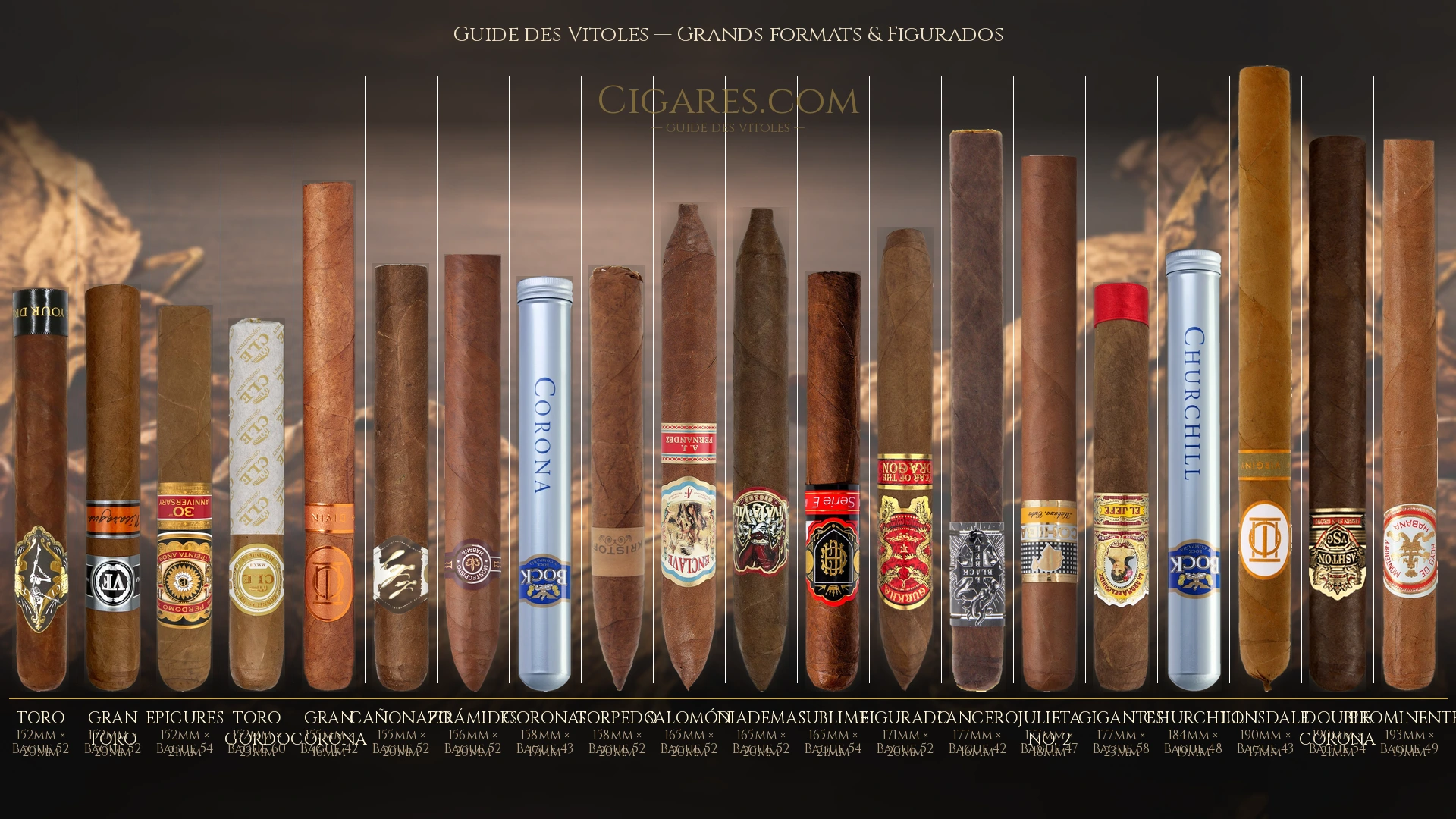 Guide des formats de cigares — grands formats et figurados : Torpedo, Belicoso, Gran Corona, Prominentes