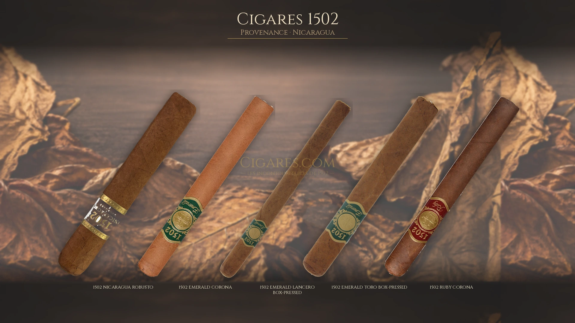 Top 5 cigares 1502 — les plus populaires