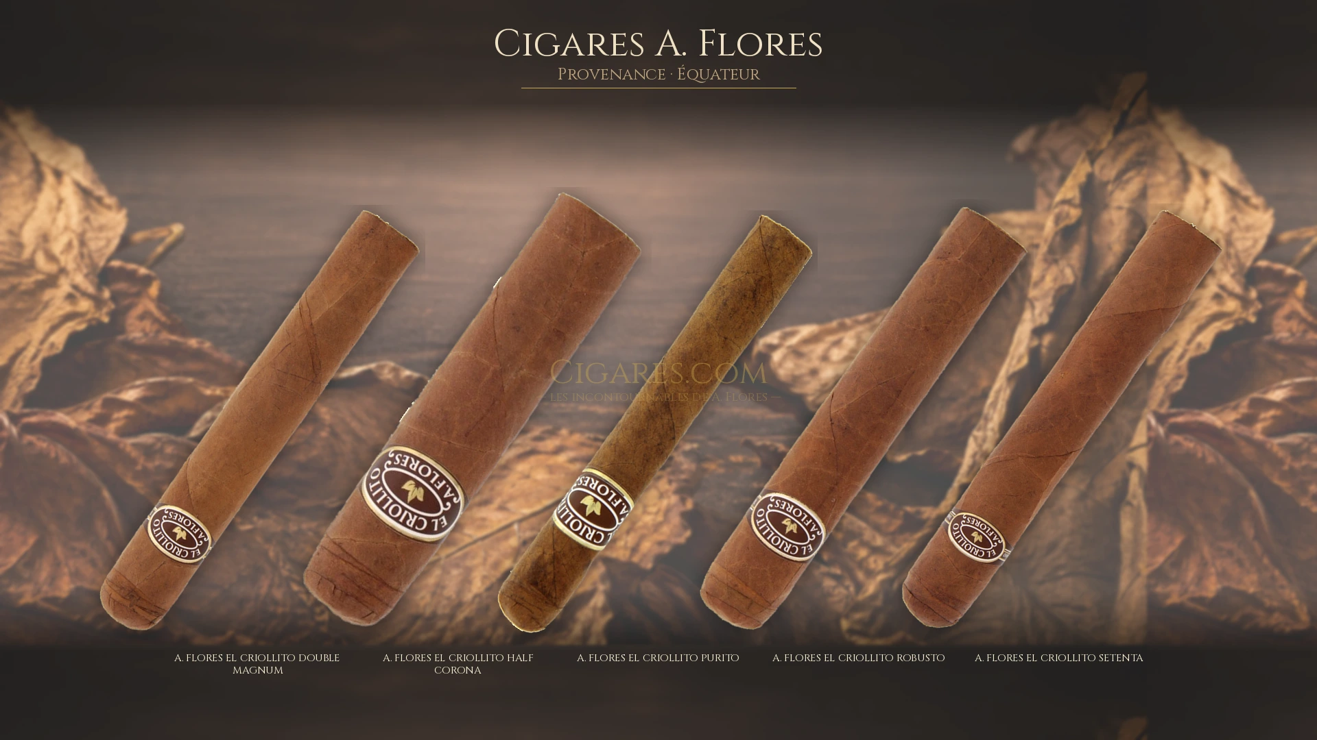 Top 5 cigares A. Flores — les plus populaires
