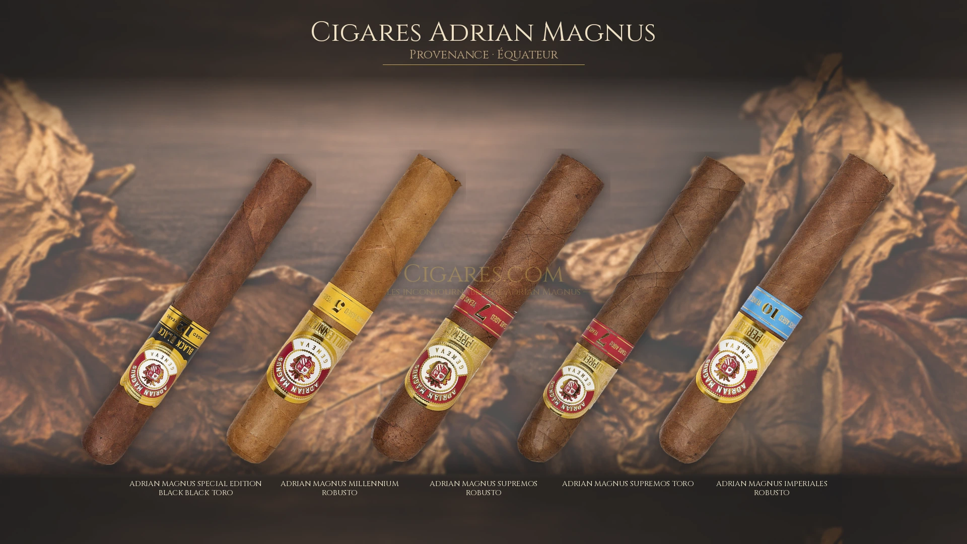 Top 5 cigares Adrian Magnus — les plus populaires