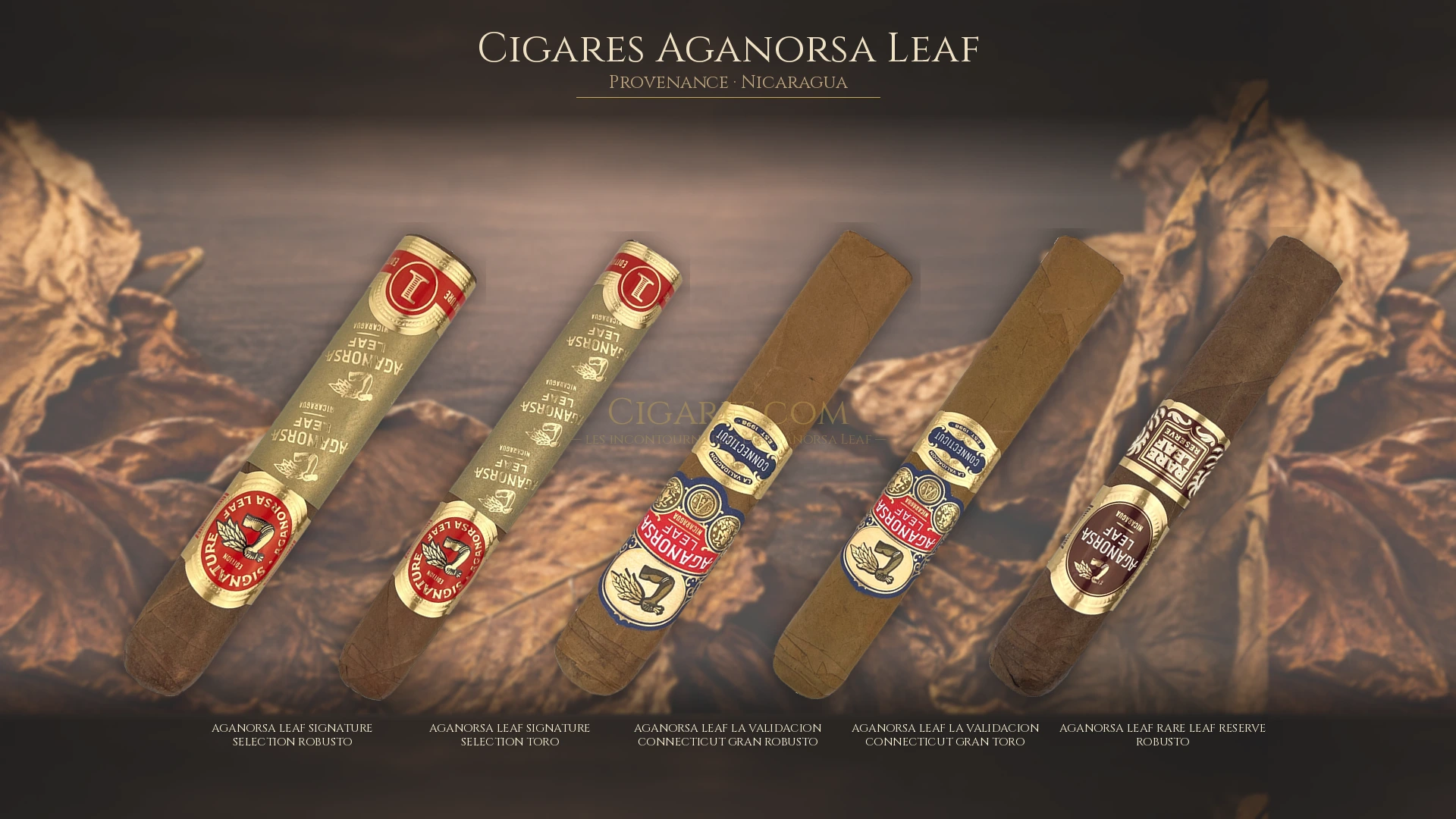 Top 5 cigares Aganorsa Leaf — les plus populaires