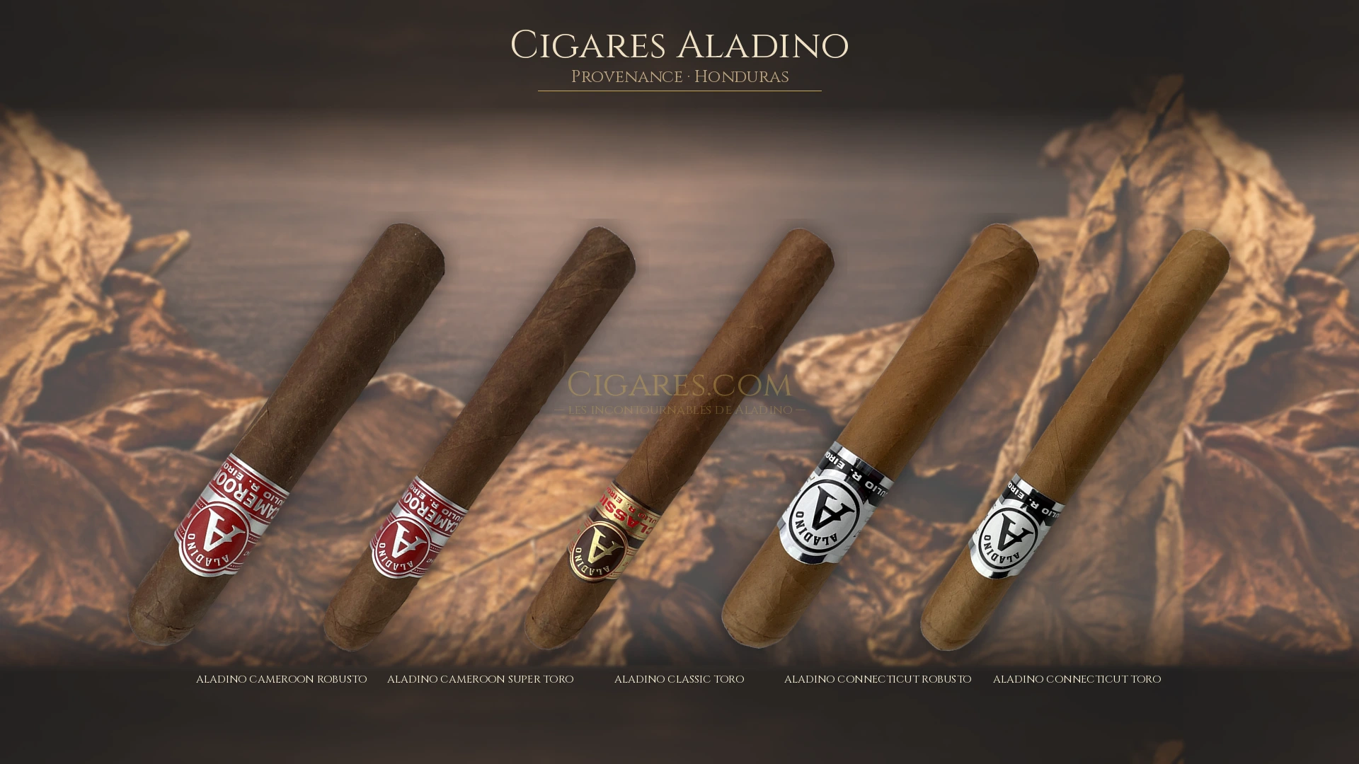 Top 5 cigares Aladino — les plus populaires