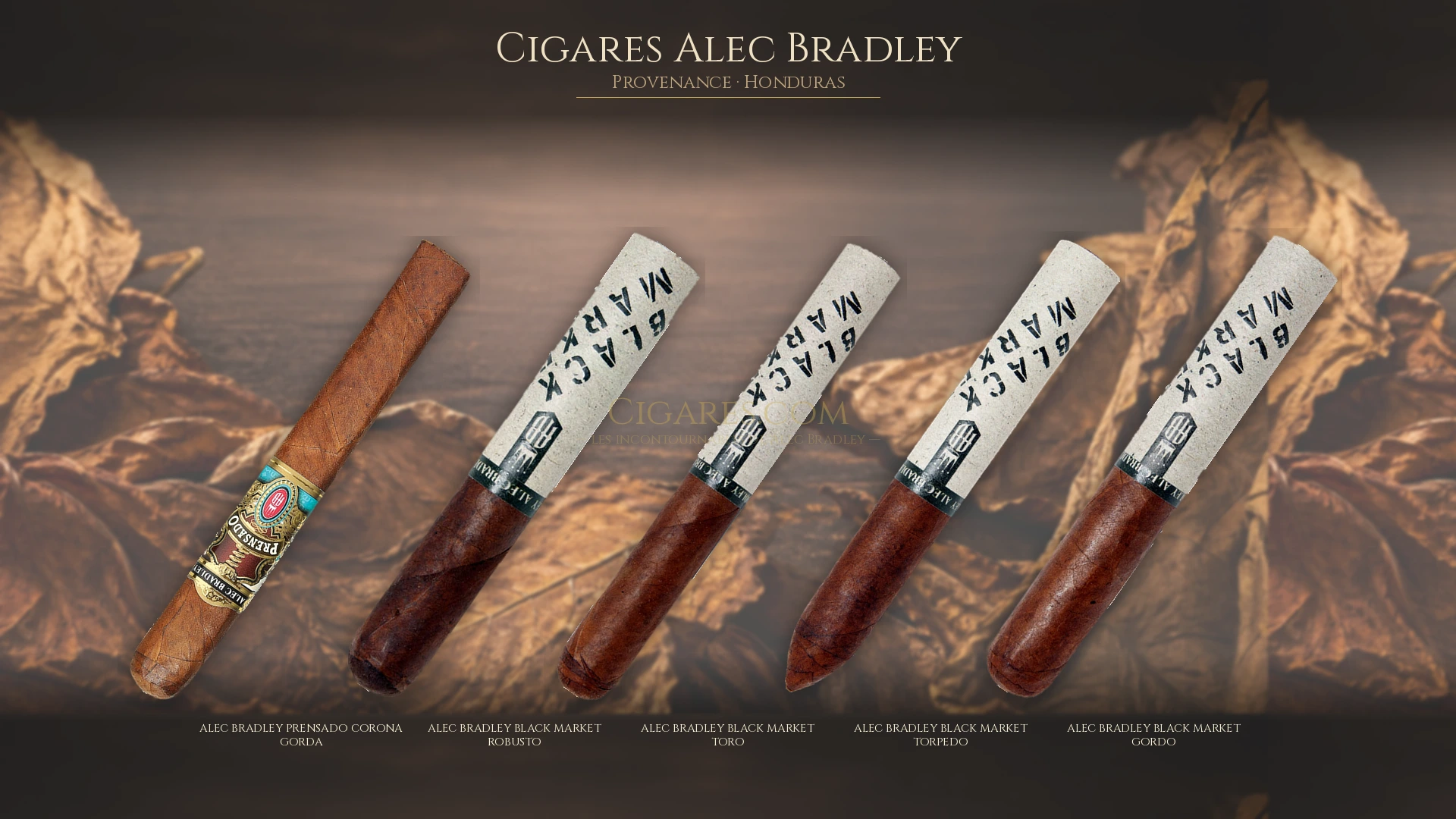 Top 5 cigares Alec Bradley — les plus populaires
