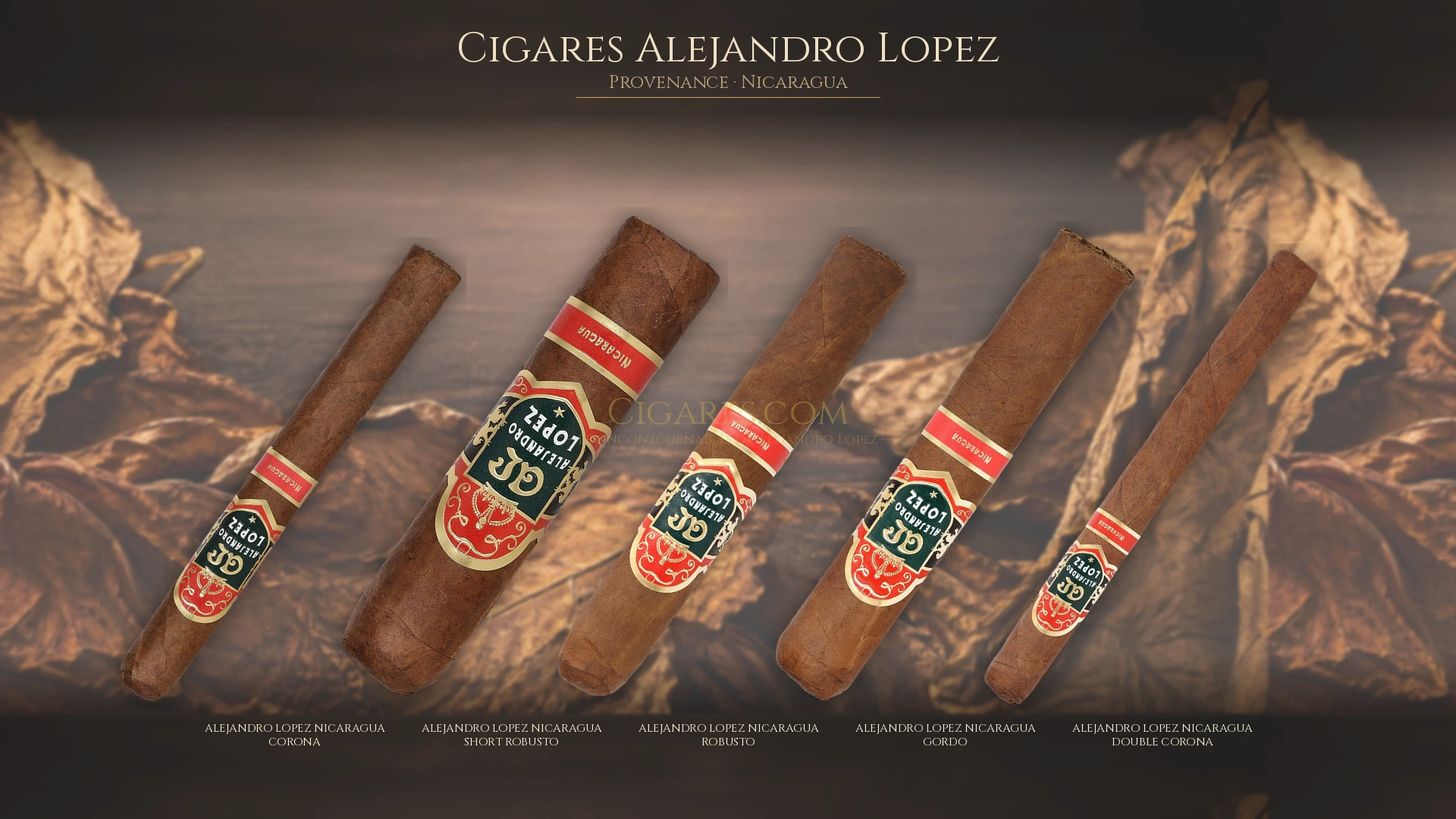 Top 5 cigares Alejandro Lopez — les plus populaires