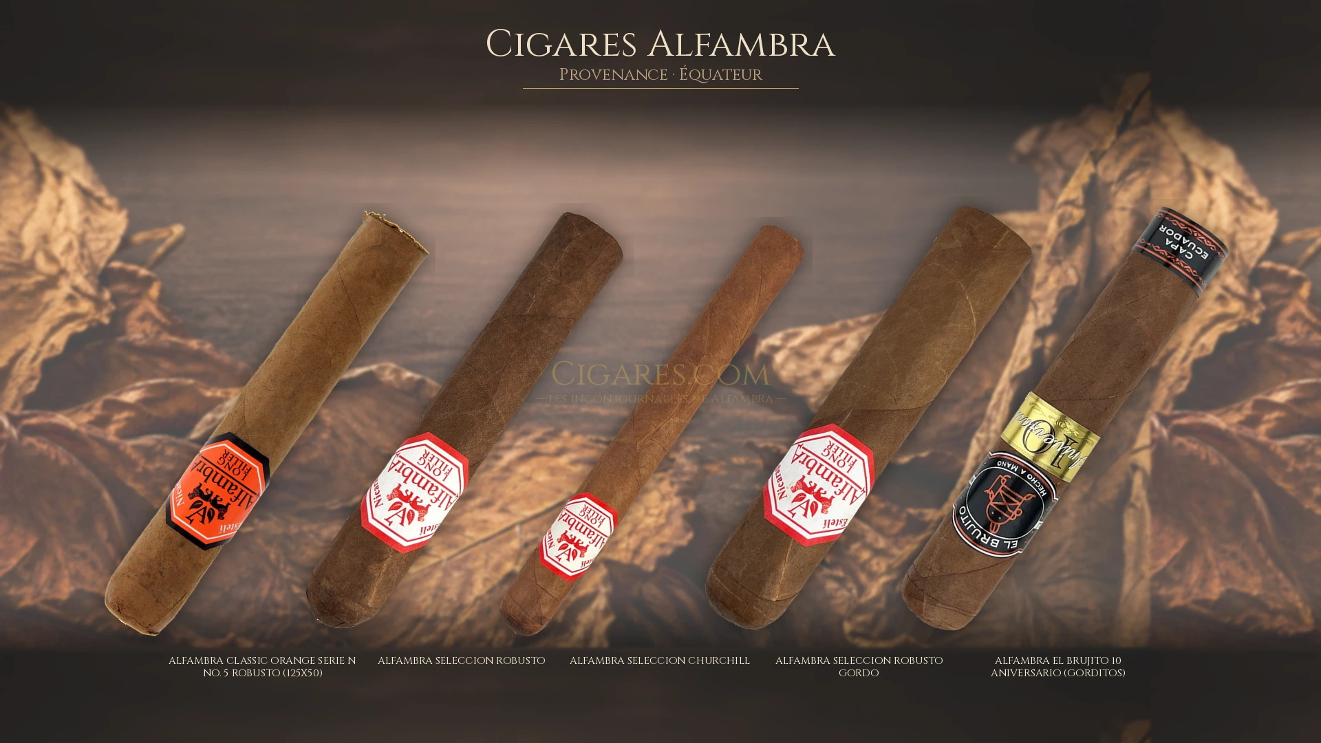 Top 5 cigares Alfambra — les plus populaires