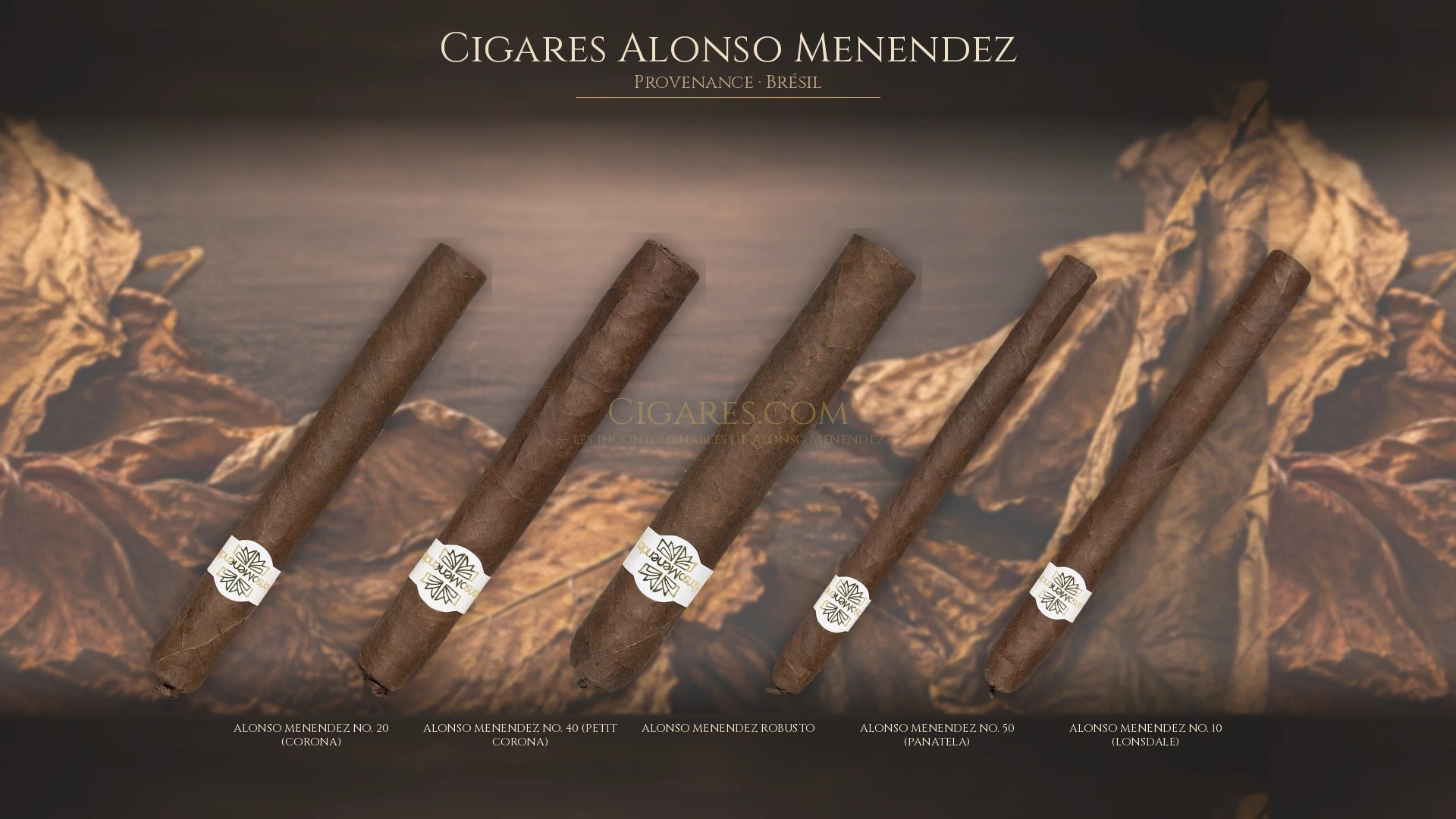 Top 5 cigares Alonso Menendez — les plus populaires