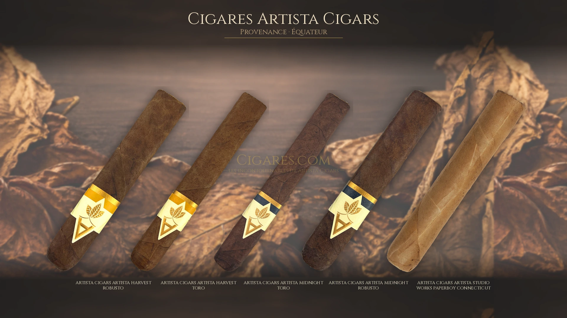 Top 5 cigares Artista Cigars — les plus populaires