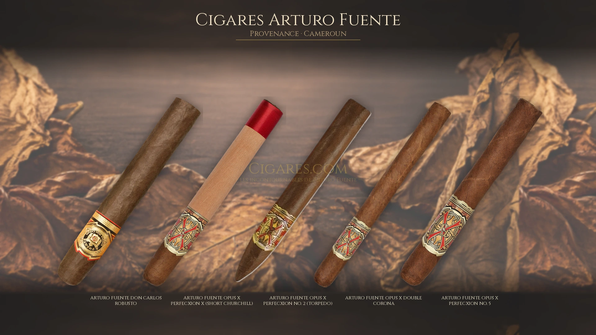 Top 5 cigares Arturo Fuente — les plus populaires