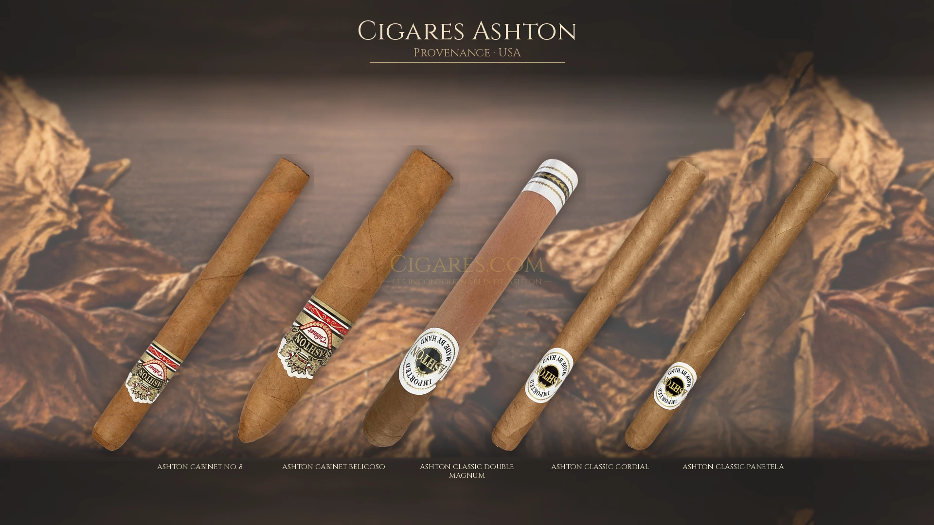 Top 5 cigares Ashton — les plus populaires