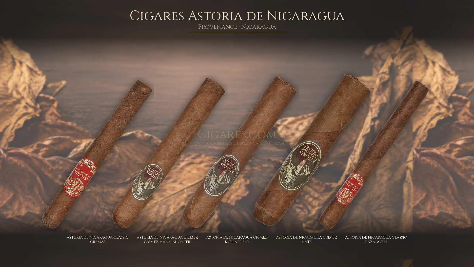 Top 5 cigares Astoria de Nicaragua — les plus populaires