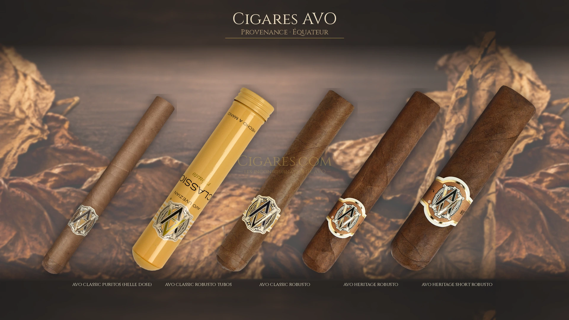 Top 5 cigares AVO — les plus populaires