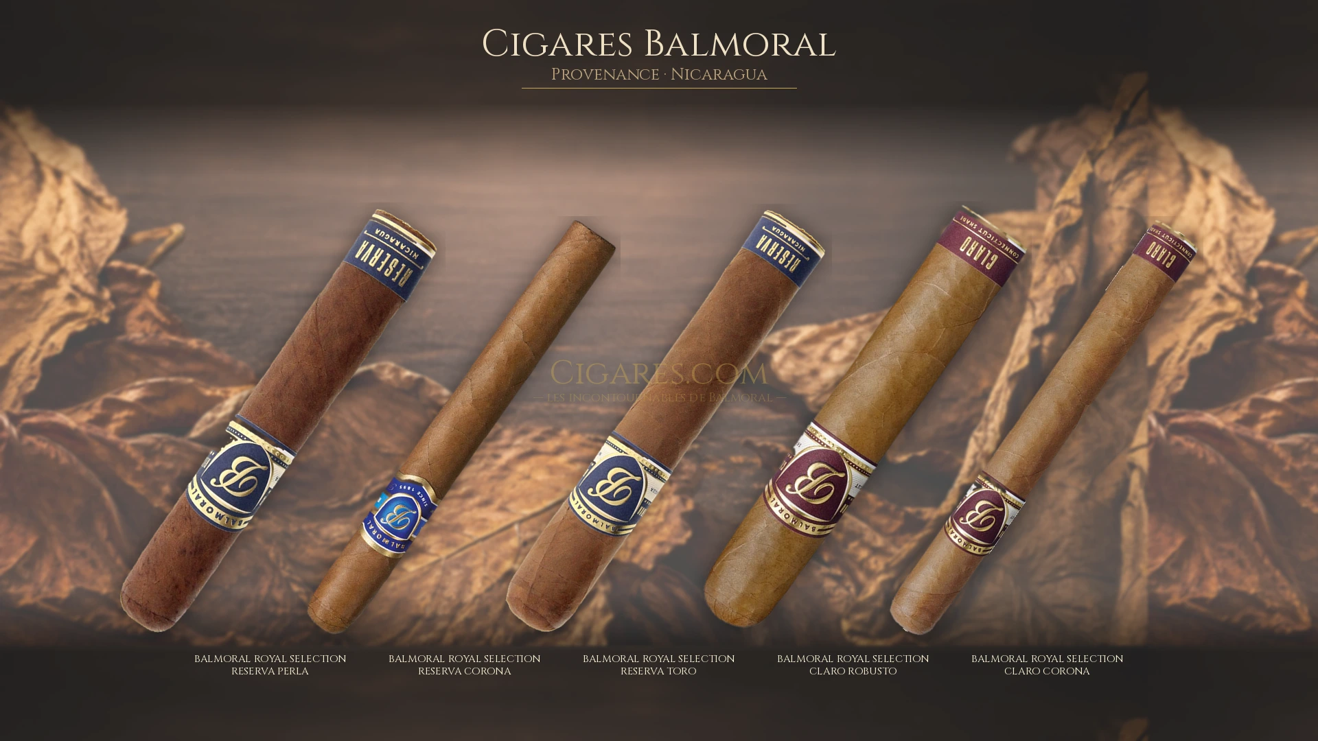 Top 5 cigares Balmoral — les plus populaires