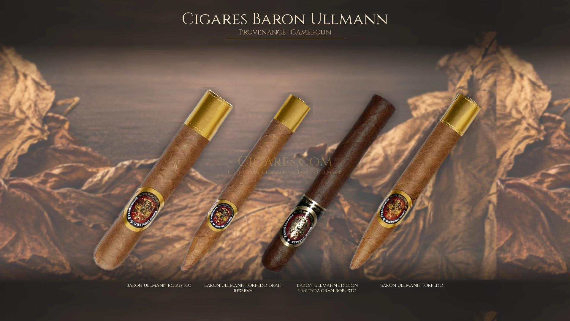 Top 5 cigares Baron Ullmann — les plus populaires