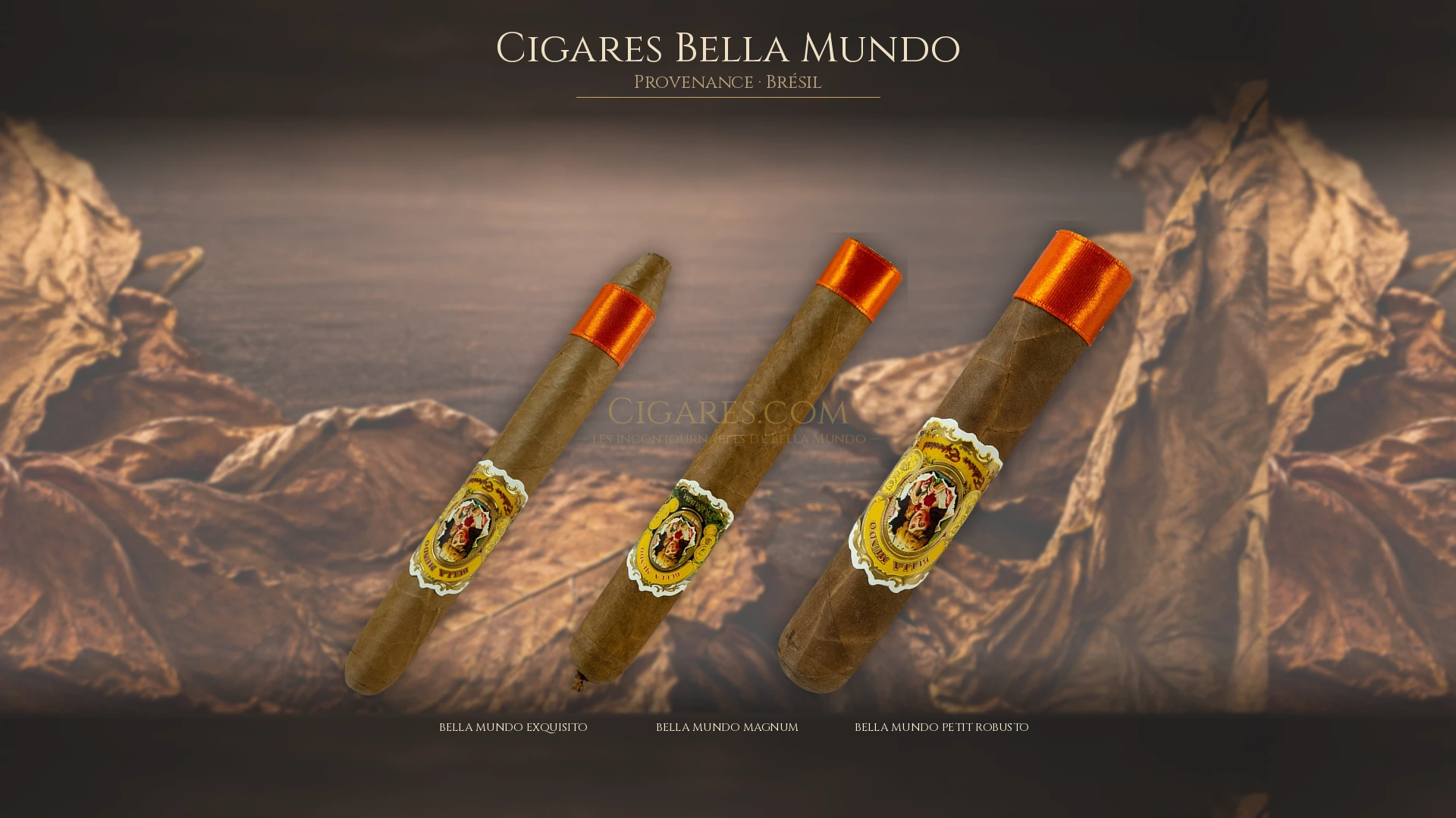 Top 5 cigares Bella Mundo — les plus populaires