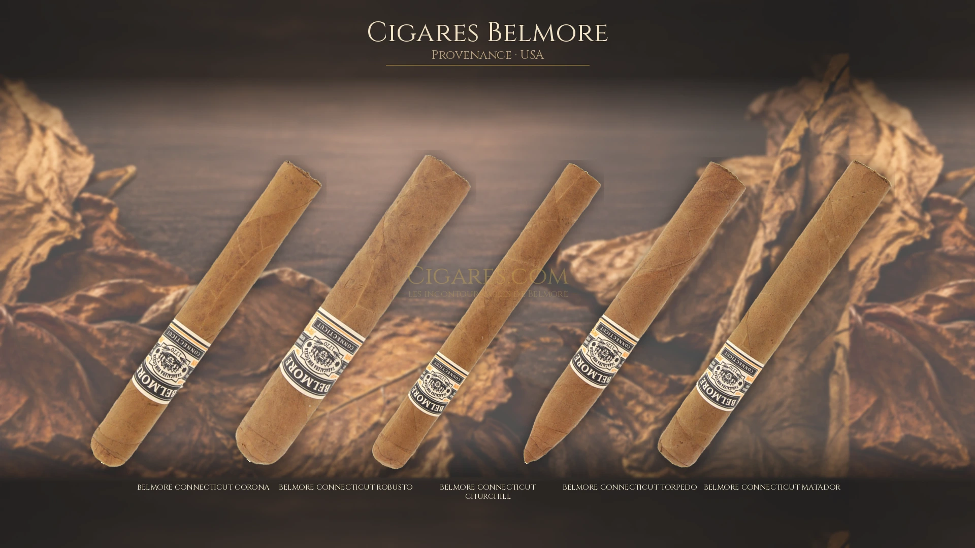Top 5 cigares Belmore — les plus populaires