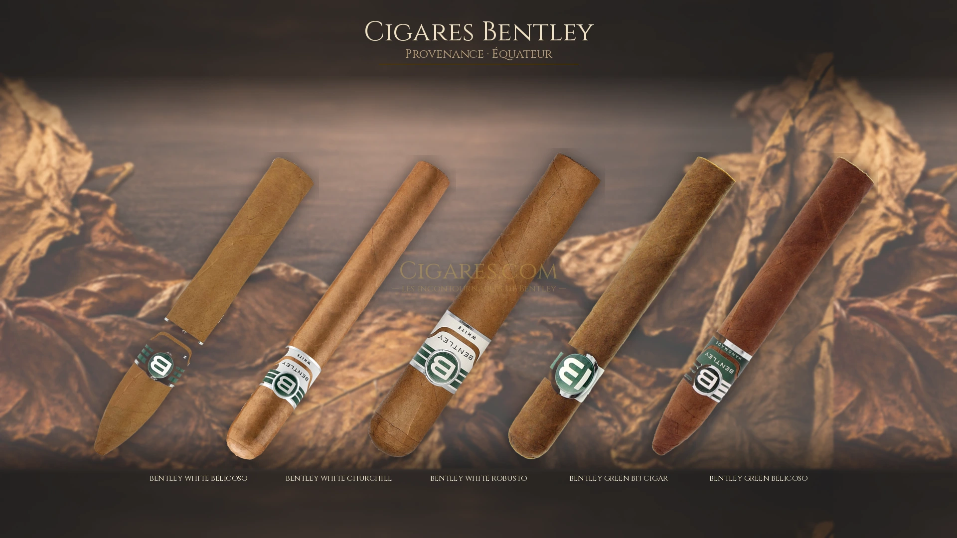 Top 5 cigares Bentley — les plus populaires